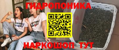 стаф Бузулук