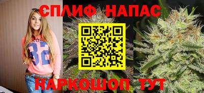 стаф Бузулук
