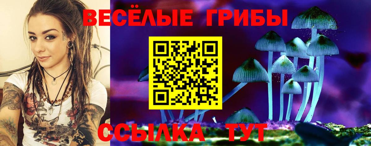 Галлюциногенные грибы мухоморы  Вход с VPN  Шали 